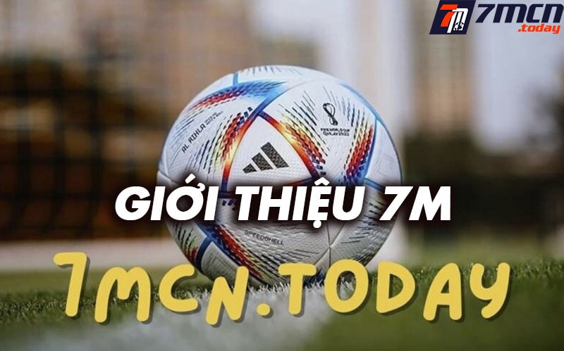 Giới thiệu layruoru.com